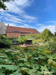 Tierpark Kloster Riesa