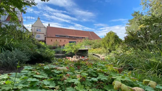 Tierpark Kloster Riesa