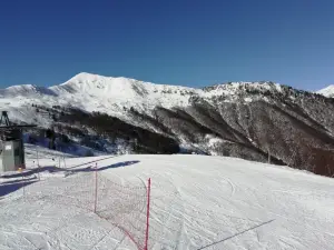 Alagna Freeride Paradise