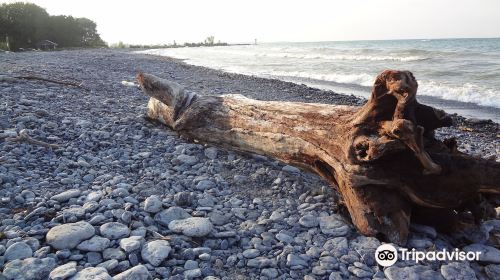 Wellington Rotary Beach