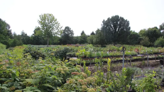 Forest Glen Herb Farm