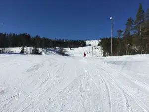 Skimore Kongsberg