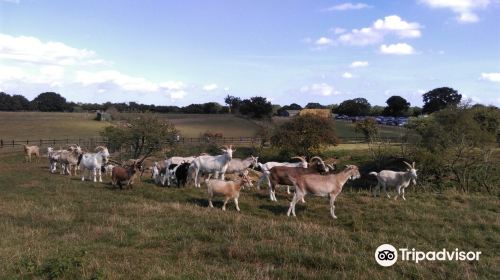 Hillside Animal Sanctuary Office