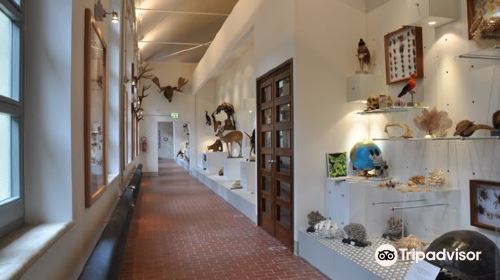 Museo di Storia Naturale