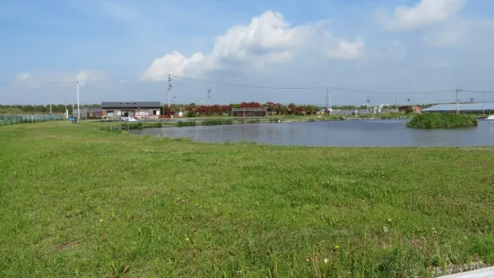 Lake Hamana Fishing Resort