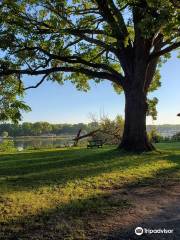 Illini State Park