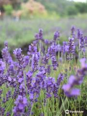 Okitama Park Herb Garden