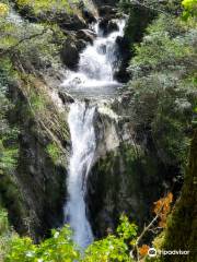 Devil's Bridge Waterfalls