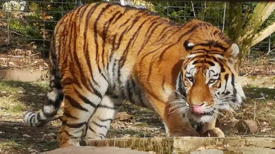 ケムニッツ動物園