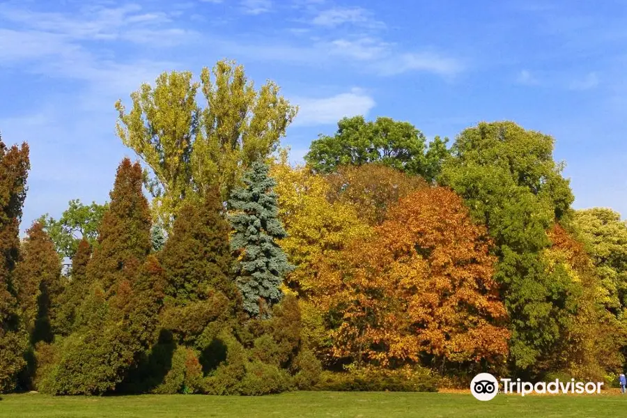 Skaryszewski Park in the name of Ignacy Jan Paderewski