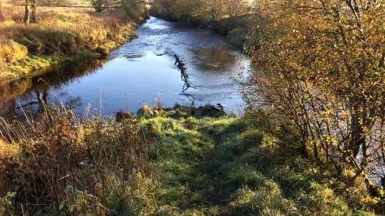 New Cumnock Path Network