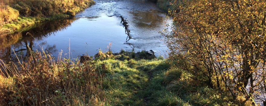 New Cumnock Path Network