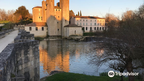 Pont roman de Barbaste