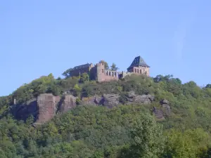 Nideggen Castle Museum