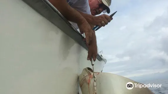 Daydreamer Sportfishing