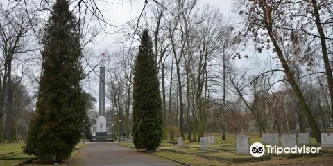 Cmentarz Zołnierzy Radzieckich