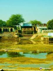 Sambhar Salt Lake