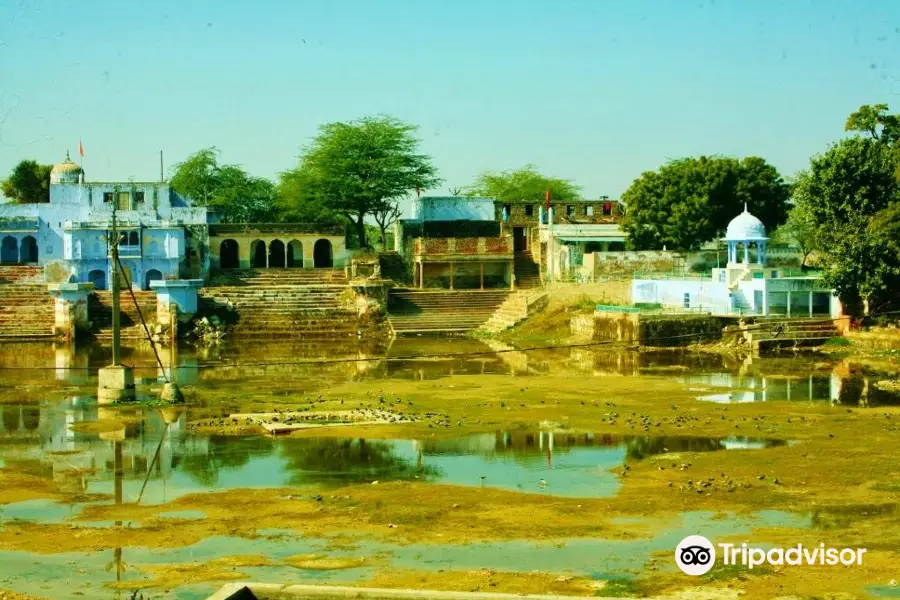 Sambhar Salt Lake