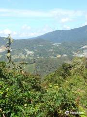 Cameron Highlands Trail No. 5 and 7