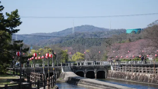 酒津公園