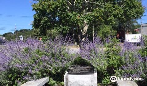 Winthrop Street Cemetery