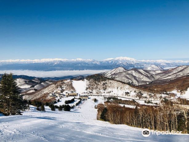 Shigakogen Takamagahara Mammoth Ski Area