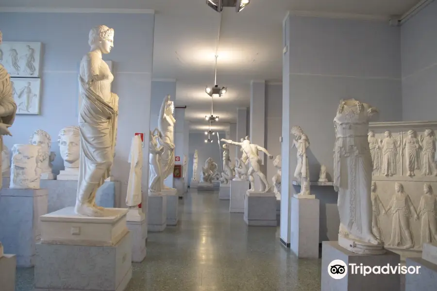 Museum Of Classical Art Sapienza University Of Rome