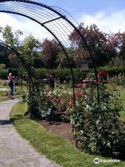 James P. Kelleher Rose Garden