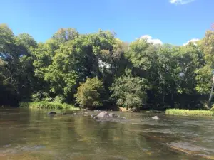 Cape Fear River Adventures