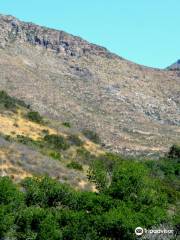 Cerro El Coronel