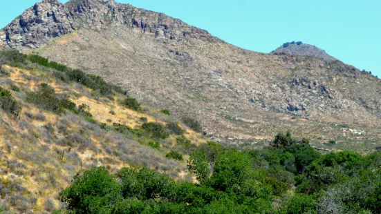 Cerro El Coronel