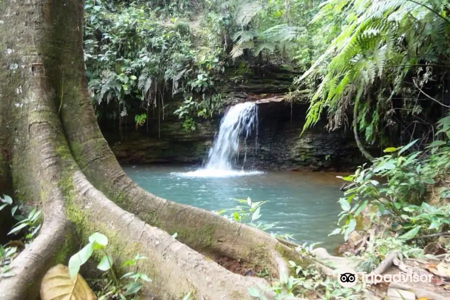 Cachoeira do Nhonho