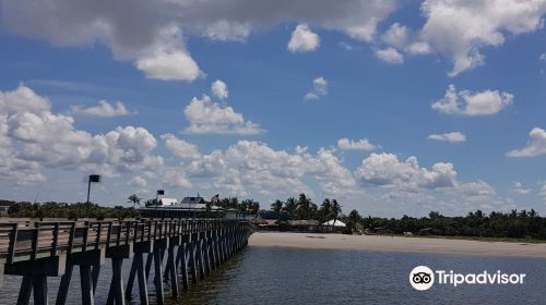 Venice Fishing Pier