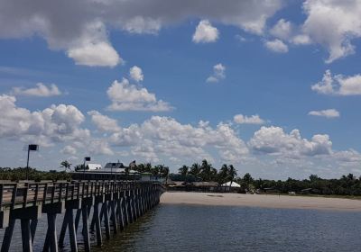 Venice Fishing Pier