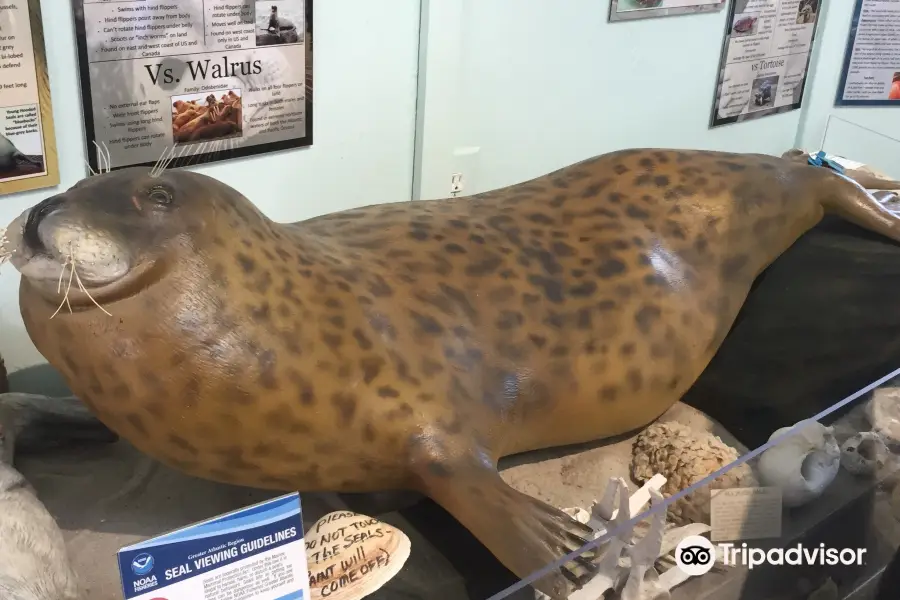 Marine Mammal Stranding Center