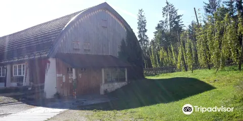 Kultur-und Orgelzentrum