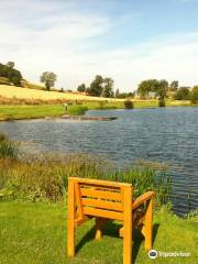 Golden Loch Fishing