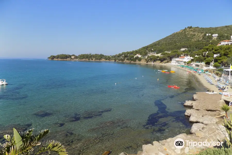 Sentiero “Antica Oliarola”