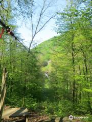 Forest Adventure Treeclimbing Park Bad Neuenahr