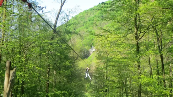 Forest Adventure Treeclimbing Park Bad Neuenahr