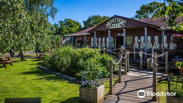 The Big Cat Sanctuary