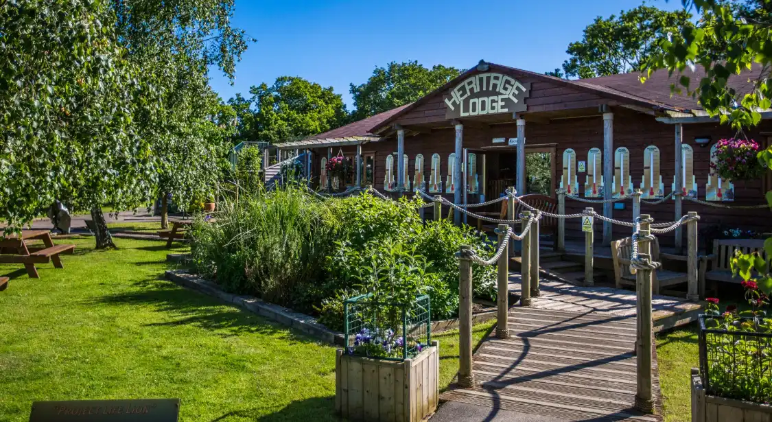Hotels near The Big Cat Sanctuary