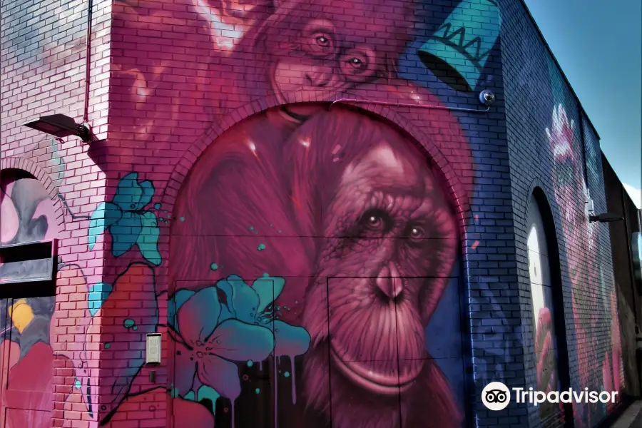 Fresque "Les singes"