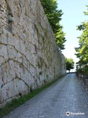 Acropolis of Alatri