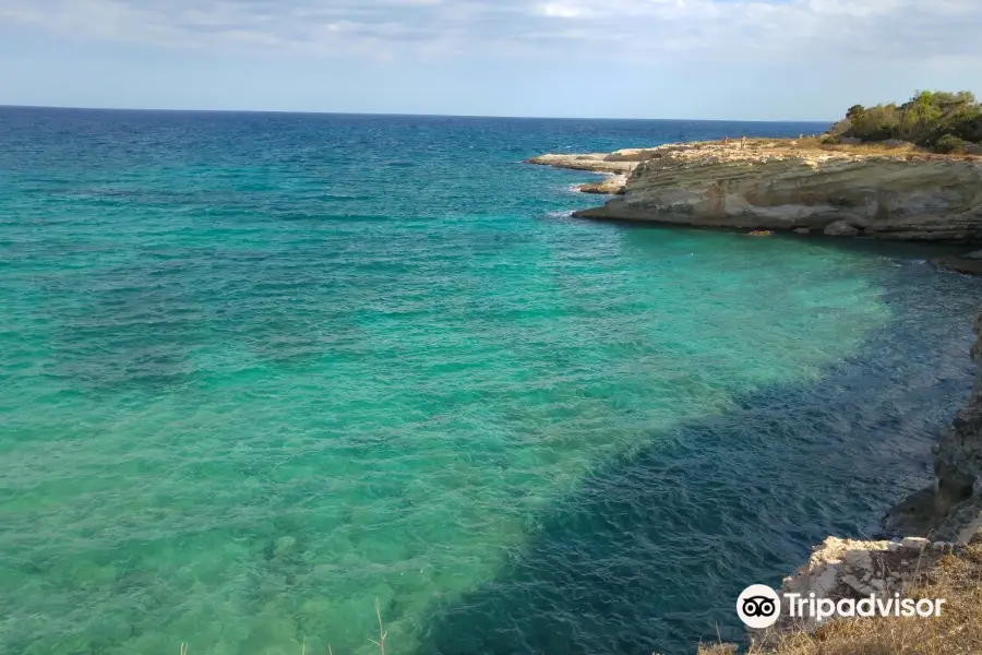 Spiaggia Pineta del Gelsomineto