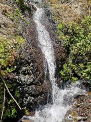 Nacimiento de Marcos y Cordero