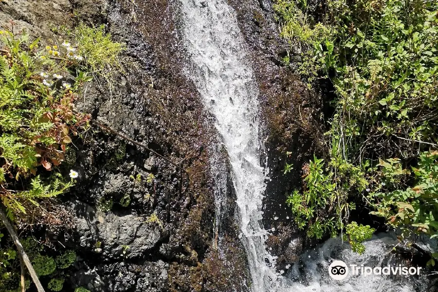 Nacimiento de Marcos y Cordero