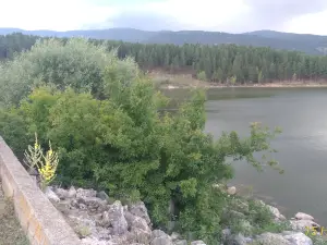 Enne Baraji Tabiat Parki