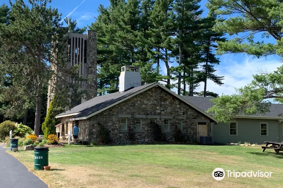 Cathedral of the Pines