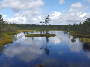 Lahemaa National Park